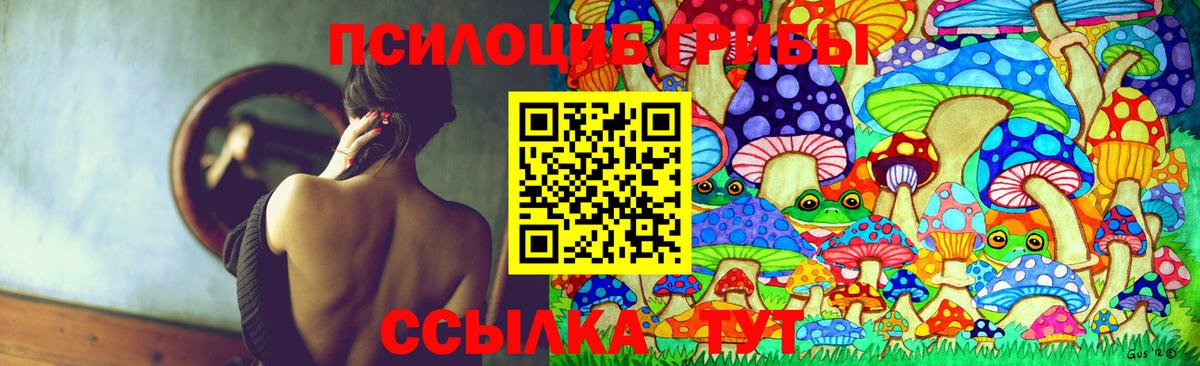 Галлюциногенные грибы Psilocybine cubensis  Псилоцибиновые грибы Psilocybe  Вход с VPN  Туймазы 