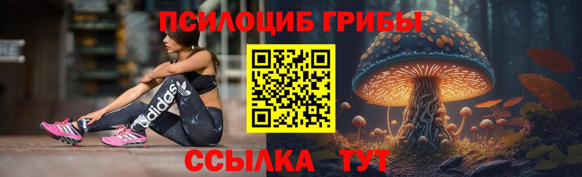 Псилоцибиновые грибы прущие грибы Туймазы